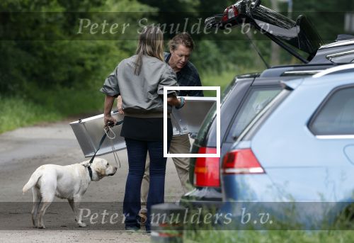 Blaricum 25 mei 2024
Linda de Mol en haar vriend Jeroen Rietbergen gaan met hun twee labradors wandelen op de hei bij Blaricum .