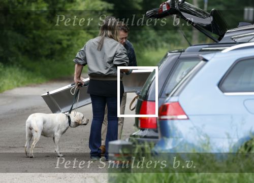 Blaricum 25 mei 2024
Linda de Mol en haar vriend Jeroen Rietbergen gaan met hun twee labradors wandelen op de hei bij Blaricum .