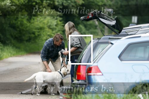 Blaricum 25 mei 2024
Linda de Mol en haar vriend Jeroen Rietbergen gaan met hun twee labradors wandelen op de hei bij Blaricum .