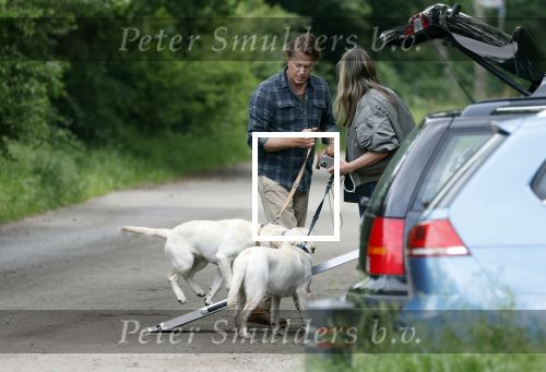 Blaricum 25 mei 2024
Linda de Mol en haar vriend Jeroen Rietbergen gaan met hun twee labradors wandelen op de hei bij Blaricum .