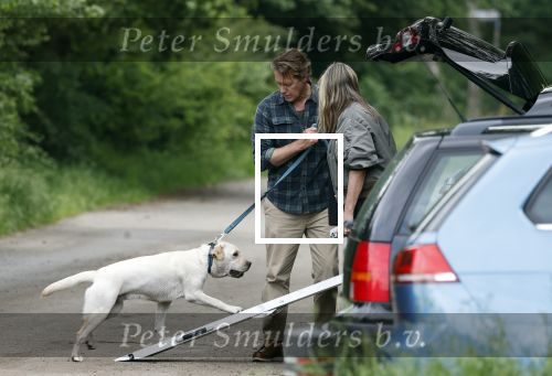 Blaricum 25 mei 2024
Linda de Mol en haar vriend Jeroen Rietbergen gaan met hun twee labradors wandelen op de hei bij Blaricum .