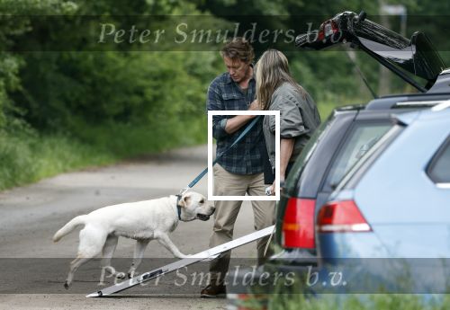 Blaricum 25 mei 2024
Linda de Mol en haar vriend Jeroen Rietbergen gaan met hun twee labradors wandelen op de hei bij Blaricum .