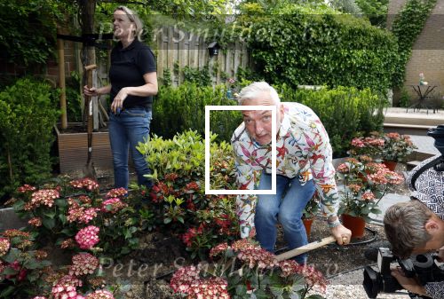 Noordwijk 24 mei 2024
Erica Meiland en Martien Meiland planten bijzondere hortensiaâ€™s in de tuin van hun Boutique Pension Code RosÃ©.