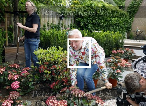 Noordwijk 24 mei 2024
Erica Meiland en Martien Meiland planten bijzondere hortensiaâ€™s in de tuin van hun Boutique Pension Code RosÃ©.