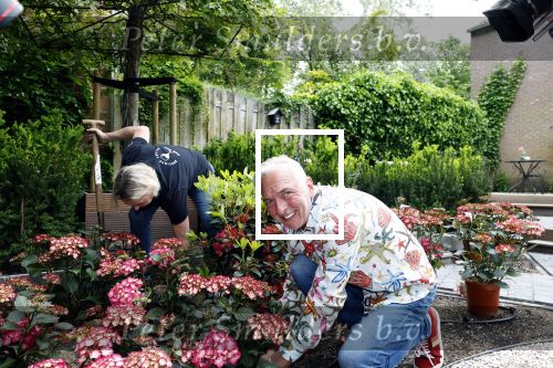Noordwijk 24 mei 2024
Erica Meiland en Martien Meiland planten bijzondere hortensiaâ€™s in de tuin van hun Boutique Pension Code RosÃ©.
