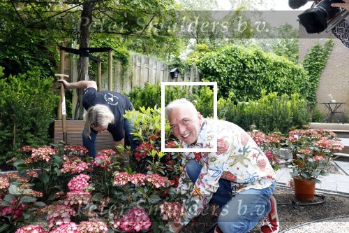 Noordwijk 24 mei 2024
Erica Meiland en Martien Meiland planten bijzondere hortensiaâ€™s in de tuin van hun Boutique Pension Code RosÃ©.