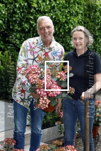 Noordwijk 24 mei 2024
Erica Meiland en Martien Meiland planten bijzondere hortensiaâ€™s in de tuin van hun Boutique Pension Code RosÃ©.