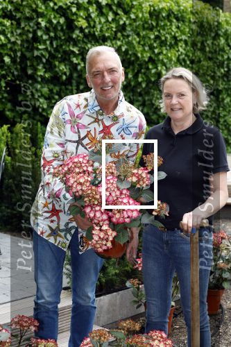 Noordwijk 24 mei 2024
Erica Meiland en Martien Meiland planten bijzondere hortensiaâ€™s in de tuin van hun Boutique Pension Code RosÃ©.