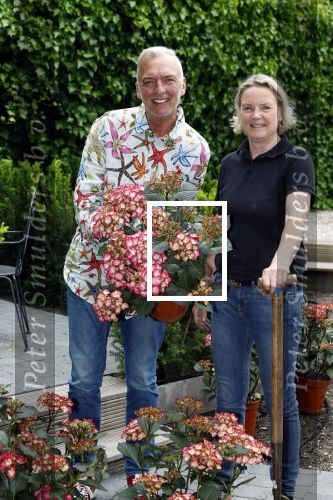 Noordwijk 24 mei 2024
Erica Meiland en Martien Meiland planten bijzondere hortensiaâ€™s in de tuin van hun Boutique Pension Code RosÃ©.