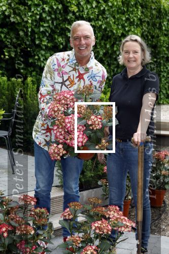 Noordwijk 24 mei 2024
Erica Meiland en Martien Meiland planten bijzondere hortensiaâ€™s in de tuin van hun Boutique Pension Code RosÃ©.