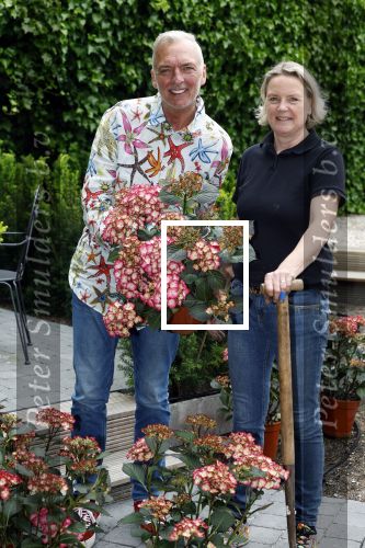 Noordwijk 24 mei 2024
Erica Meiland en Martien Meiland planten bijzondere hortensiaâ€™s in de tuin van hun Boutique Pension Code RosÃ©.