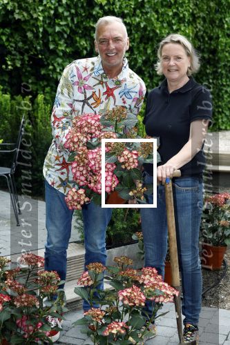 Noordwijk 24 mei 2024
Erica Meiland en Martien Meiland planten bijzondere hortensiaâ€™s in de tuin van hun Boutique Pension Code RosÃ©.