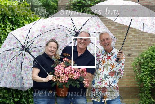 Noordwijk 24 mei 2024
Erica Meiland en Martien Meiland planten bijzondere hortensiaâ€™s in de tuin van hun Boutique Pension Code RosÃ©.