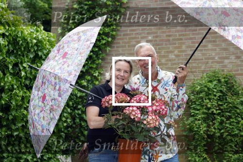 Noordwijk 24 mei 2024
Erica Meiland en Martien Meiland planten bijzondere hortensiaâ€™s in de tuin van hun Boutique Pension Code RosÃ©.