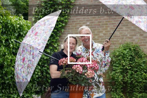 Noordwijk 24 mei 2024
Erica Meiland en Martien Meiland planten bijzondere hortensiaâ€™s in de tuin van hun Boutique Pension Code RosÃ©.