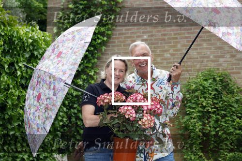 Noordwijk 24 mei 2024
Erica Meiland en Martien Meiland planten bijzondere hortensiaâ€™s in de tuin van hun Boutique Pension Code RosÃ©.