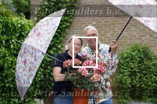 Noordwijk 24 mei 2024
Erica Meiland en Martien Meiland planten bijzondere hortensiaâ€™s in de tuin van hun Boutique Pension Code RosÃ©.