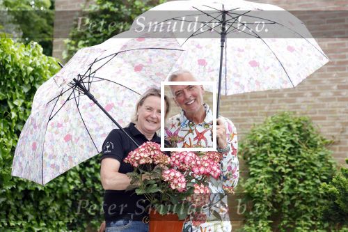 Noordwijk 24 mei 2024
Erica Meiland en Martien Meiland planten bijzondere hortensiaâ€™s in de tuin van hun Boutique Pension Code RosÃ©.