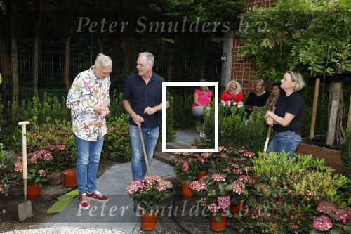 Noordwijk 24 mei 2024
Erica Meiland en Martien Meiland planten bijzondere hortensiaâ€™s in de tuin van hun Boutique Pension Code RosÃ©.