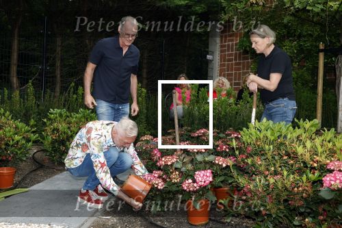 Noordwijk 24 mei 2024
Erica Meiland en Martien Meiland planten bijzondere hortensiaâ€™s in de tuin van hun Boutique Pension Code RosÃ©.