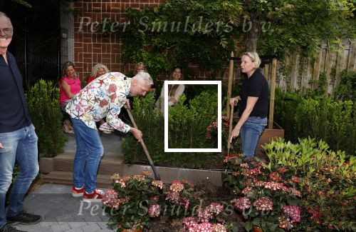 Noordwijk 24 mei 2024
Erica Meiland en Martien Meiland planten bijzondere hortensiaâ€™s in de tuin van hun Boutique Pension Code RosÃ©.