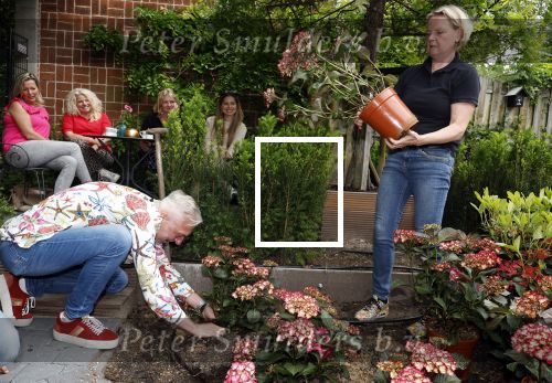 Noordwijk 24 mei 2024
Erica Meiland en Martien Meiland planten bijzondere hortensiaâ€™s in de tuin van hun Boutique Pension Code RosÃ©.