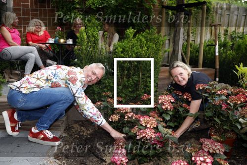 Noordwijk 24 mei 2024
Erica Meiland en Martien Meiland planten bijzondere hortensiaâ€™s in de tuin van hun Boutique Pension Code RosÃ©.