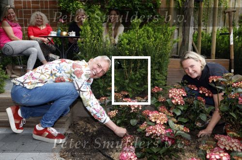 Noordwijk 24 mei 2024
Erica Meiland en Martien Meiland planten bijzondere hortensiaâ€™s in de tuin van hun Boutique Pension Code RosÃ©.