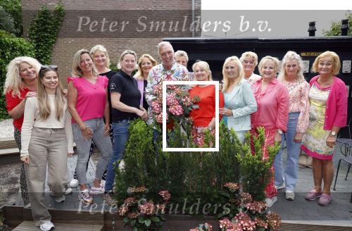 Noordwijk 24 mei 2024
Erica Meiland en Martien Meiland planten bijzondere hortensiaâ€™s in de tuin van hun Boutique Pension Code RosÃ©.