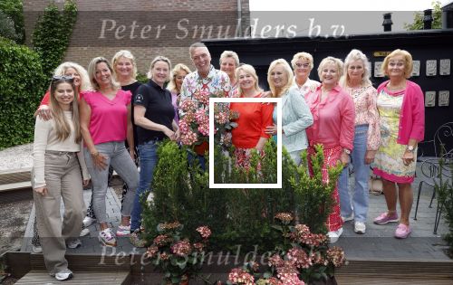 Noordwijk 24 mei 2024
Erica Meiland en Martien Meiland planten bijzondere hortensiaâ€™s in de tuin van hun Boutique Pension Code RosÃ©.