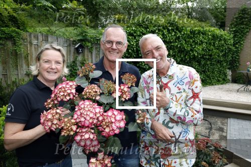 Noordwijk 24 mei 2024
Erica Meiland en Martien Meiland planten bijzondere hortensiaâ€™s in de tuin van hun Boutique Pension Code RosÃ©.