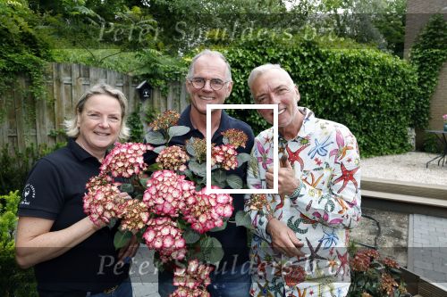 Noordwijk 24 mei 2024
Erica Meiland en Martien Meiland planten bijzondere hortensiaâ€™s in de tuin van hun Boutique Pension Code RosÃ©.