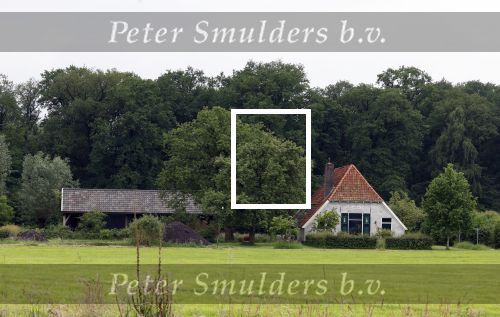 Eefde 25 mei 2024
Huis Matthijs v Nieuwkerk.