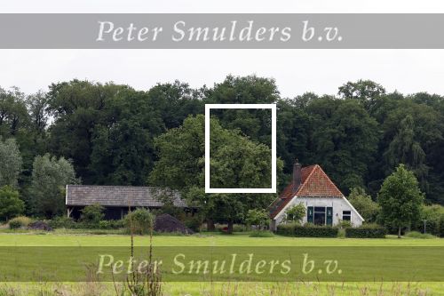 Eefde 25 mei 2024
Huis Matthijs v Nieuwkerk.