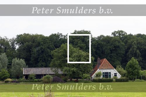 Eefde 25 mei 2024
Huis Matthijs v Nieuwkerk.