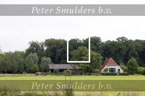 Eefde 25 mei 2024
Huis Matthijs v Nieuwkerk.