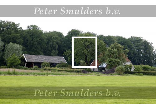 Eefde 25 mei 2024
Huis Matthijs v Nieuwkerk.