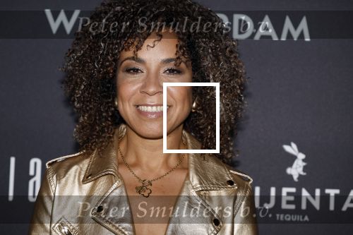 Amsterdan 23 mei 2024
Presentatie magazine Loiza Lamers in het W Hotel. Amara Onwuka