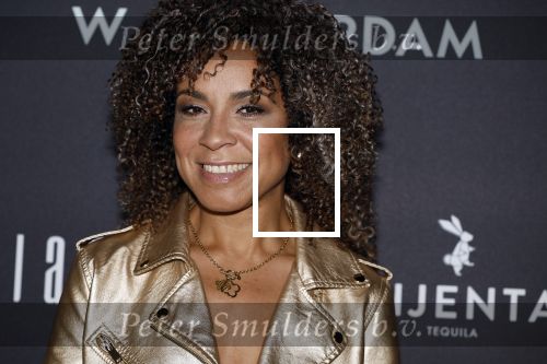 Amsterdan 23 mei 2024
Presentatie magazine Loiza Lamers in het W Hotel. Amara Onwuka