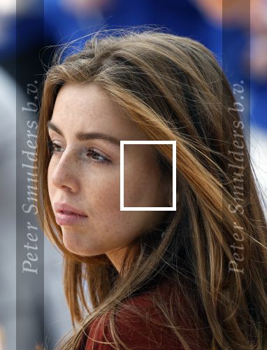 Emmen 27 april 2024
Koningsdag in Emmen met de koninklijke familie . Aanwezig bKoning Willem Alexander Koningin Maxima Prinses Amalia Prinses Alexia Prinses Ariane Prins Constantijn Prinses laurentien Prins Bernhard Prinses Annette Prins Maurits Prinses Marilene Prins Pieter Christiaan Prinses Anita Prins Floris en Prinses Aimee.