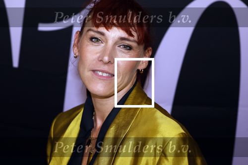 Amsterdam 14 mei 2024
Premiere documentaire S10 gemaakt door Linda Hakeboom in Tuschinski. Wende Snijders