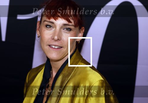 Amsterdam 14 mei 2024
Premiere documentaire S10 gemaakt door Linda Hakeboom in Tuschinski. Wende Snijders