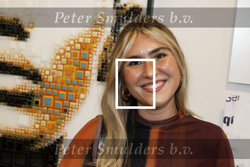 Amsterdam 23 mei 2025
Opening expositie Maik de Boer bij gallet Cobra . Amber Agterhuus