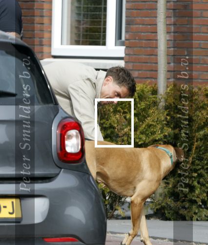 Wilnis 20 en 21 mei 2025
Andre Hazes bij zijn huis met zijn hond .