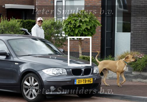 Wilnis 25 mei 2025
Andre Hazes gaat sporten en daarna komt Monique Westenberg met zoon Andre Hazes jr de hond brengen bij zijn huis .
Andre en Monique geven elkaar een knuffel .
