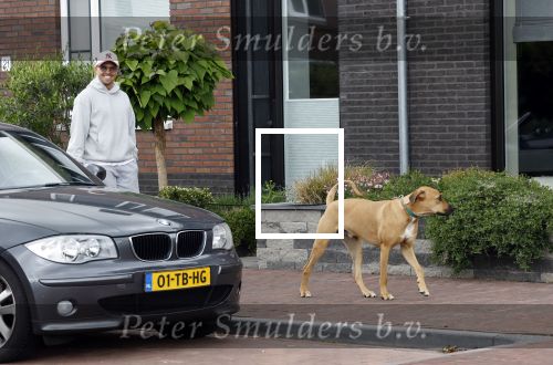 Wilnis 25 mei 2025
Andre Hazes gaat sporten en daarna komt Monique Westenberg met zoon Andre Hazes jr de hond brengen bij zijn huis .
Andre en Monique geven elkaar een knuffel .