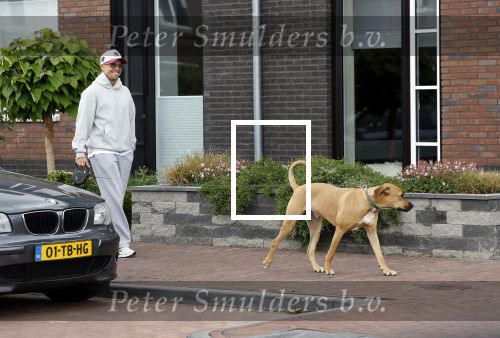 Wilnis 25 mei 2025
Andre Hazes gaat sporten en daarna komt Monique Westenberg met zoon Andre Hazes jr de hond brengen bij zijn huis .
Andre en Monique geven elkaar een knuffel .