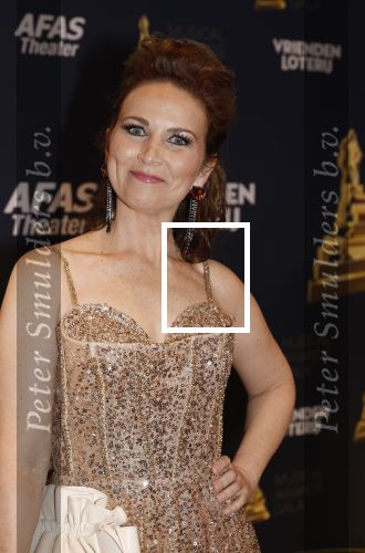 Leusden 16 april 2025
Musicalawards gala bij AFAS . Joris van Veldhoven en Ann Van den Broeck