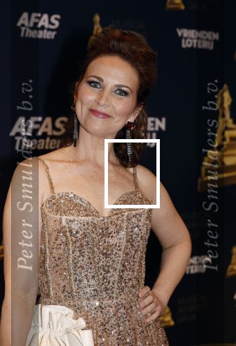 Leusden 16 april 2025
Musicalawards gala bij AFAS . Joris van Veldhoven en Ann Van den Broeck