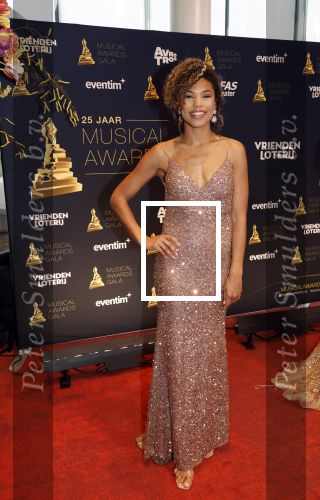 Leusden 16 april 2025
Musicalawards gala bij AFAS . Anne Appelo